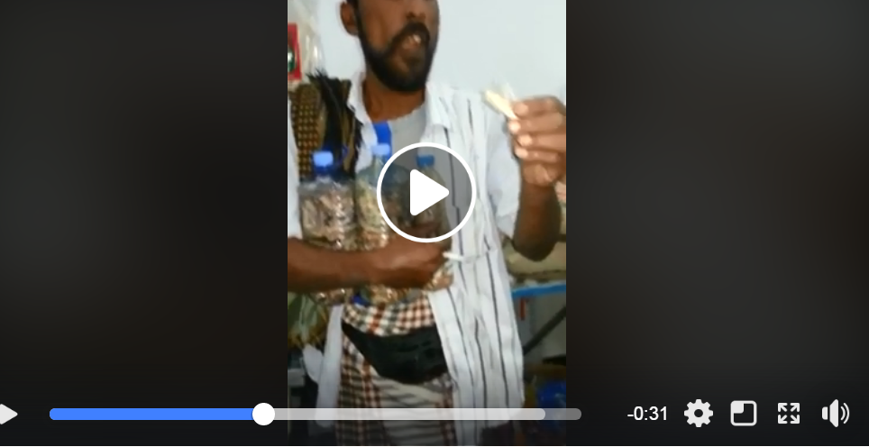 شاهد..يمني يأكل الجراد وهي حيه دون طبخ(فيديو)