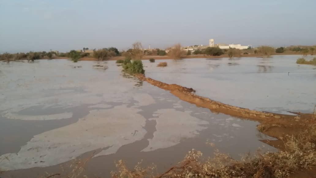 ساقية ماء في شبوة تتسبب في مقتل وجرح سبعة مسلحين