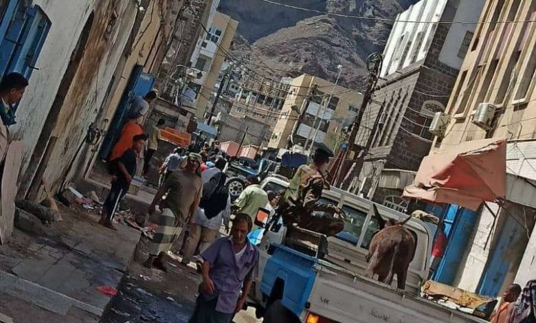حملة أمنية لملاحقة الحمير في عدن
