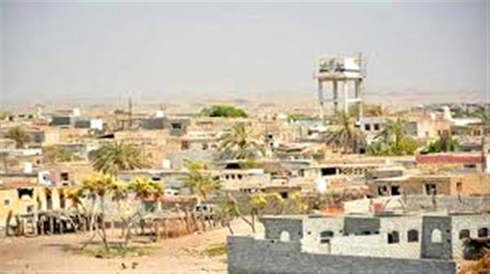 الكشف عن حقيقة سقوط مدينة الدريهمي بيد الحوثيين 