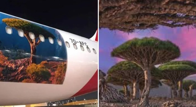 اليمن تعلن تسيير رحلات جوية مباشرة بين سقطرى وجدة لتعزيز السياحة والأرخبيل على الخارطة العالمية