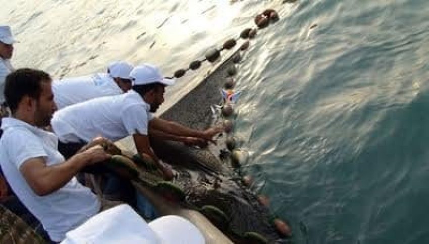 منحة يابانية لدعم الصيادين في اليمن بـ 3.5 مليون دولار