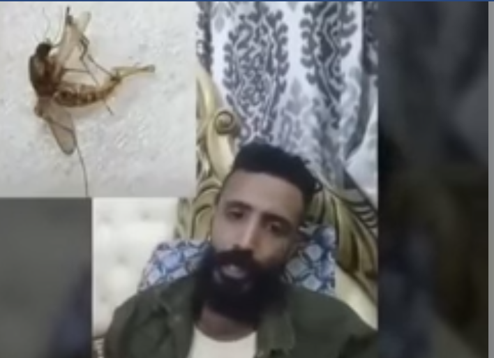 شاهد.. حكاية نامس عدن(فيديو ساخر)