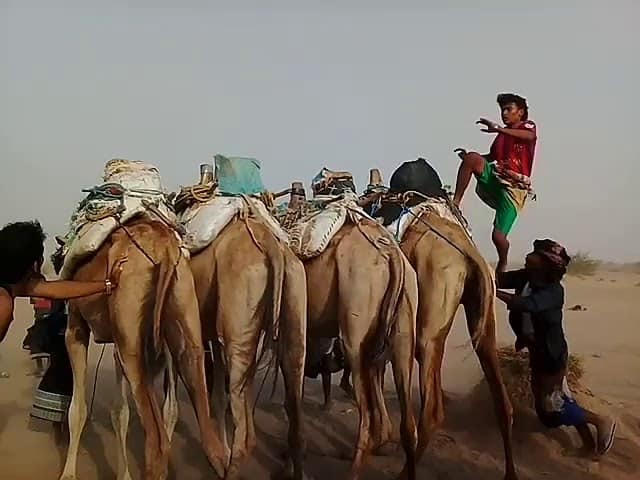 الزرانيق.. أسطورة الرقص والقفز والثورة!