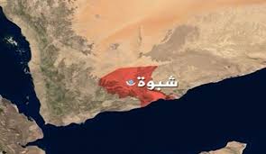 إغلاق عدد من الملاحم وبسطات بيع الاسماك المخالفة في شبوة