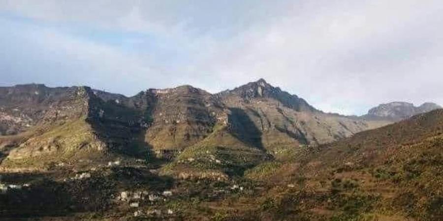 ماحقيقة سيطرة الميليشيا الحوثية على عدة مواقع في جبهة العود ؟
