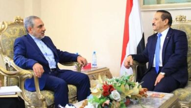 مصادر تكشف عن الفريق الذي رافق ايرلو في الوصول إلى صنعاء