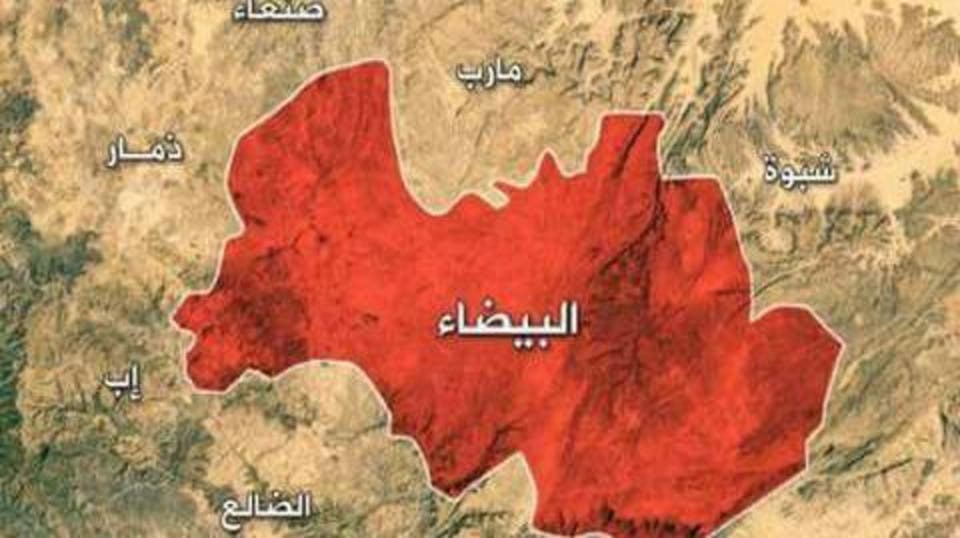القوات الحكومية تنتزع موقعين من قبضة ميليشيا الحوثي في البيضاء