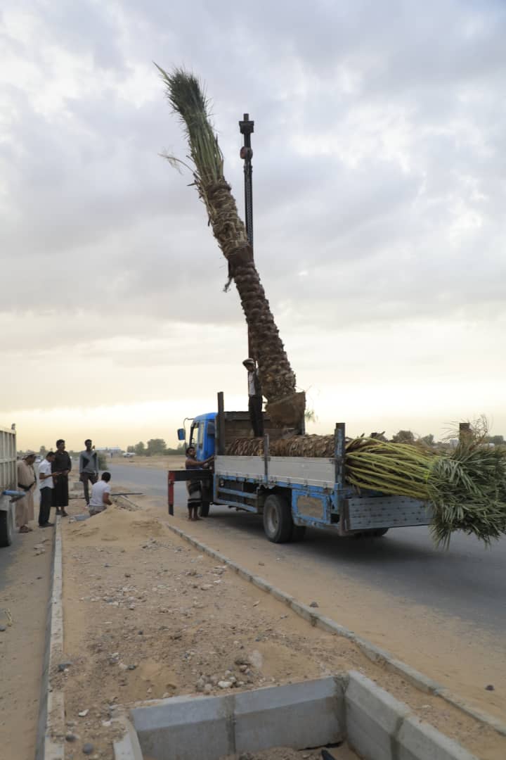 نيران الحوثيين لا تشغل مأرب عن تزيين نفسها احتفاء بسبتمبر 