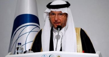 "التعاون الإسلامي" ترحب بوقف إطلاق النار في اليمن