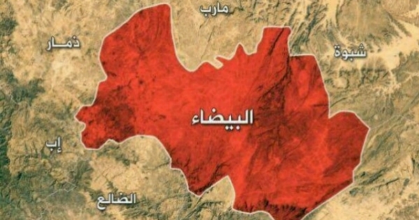 البيضاء.. الجيش الوطني يعلن سيطرته على موقع استراتيجي في جبهة ناطع