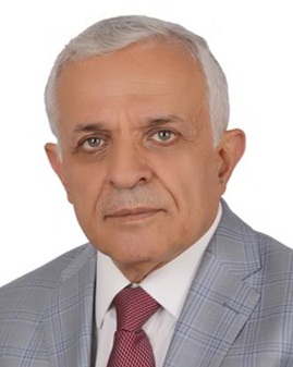 رضوان السيد
